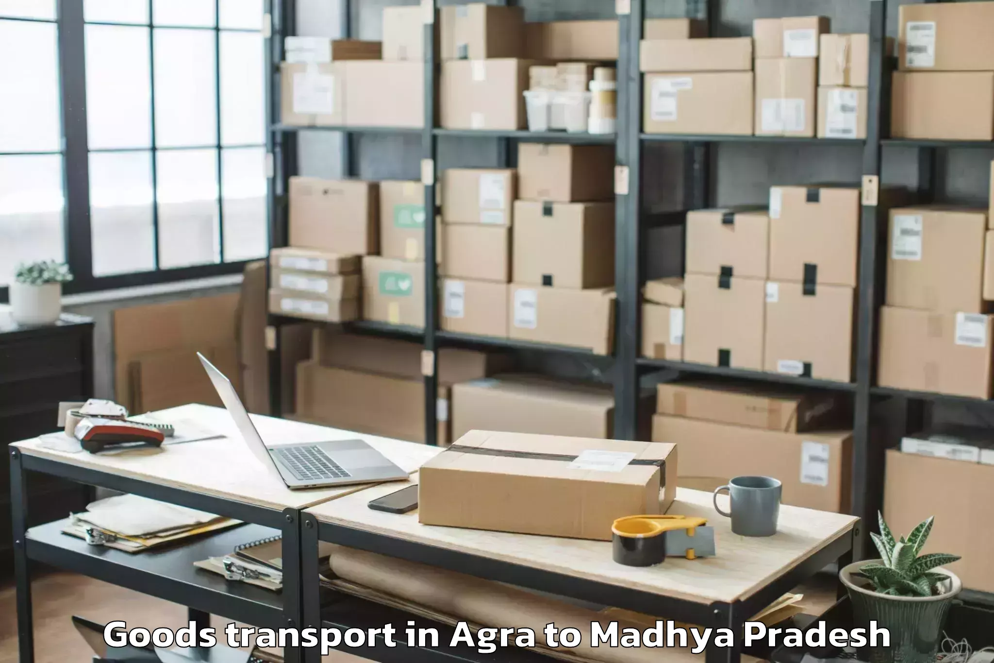 Hassle-Free Agra to Pohari Goods Transport